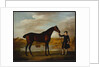 The Duke of Marlborough's Bay Hunter, with a Groom in Livery in a Lake Landscape by George Stubbs