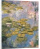 Nymphéas, 1916-19 by Claude Monet