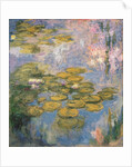 Nymphéas, 1916-19 by Claude Monet