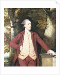 Portrait of Richard Crofts of West Harling, Norfolk by Joshua Reynolds