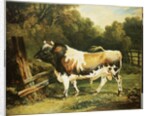 A Bull of the Alderney Breed by James Ward