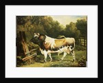 A Bull of the Alderney Breed by James Ward