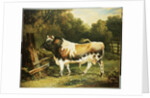 A Bull of the Alderney Breed by James Ward