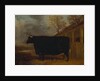 A black bull standing by a cowshed, an extensive landscape beyond by James Pollard