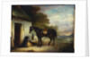 Mr. Stuart's Favourite Hunter, Vagabond' and his Flatcoated Retriever, Nell, by a Cottage Door, 1867 by John E. Ferneley