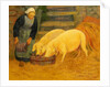 A Young Girl Feeding Two Pigs, 1889 by Paul Serusier