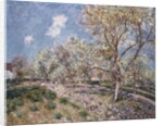 Spring at Veneux, 1880 by Alfred Sisley