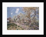 Spring at Veneux, 1880 by Alfred Sisley
