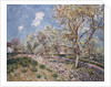 Spring at Veneux, 1880 by Alfred Sisley