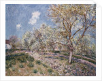 Spring at Veneux, 1880 by Alfred Sisley