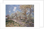 Spring at Veneux, 1880 by Alfred Sisley