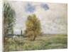 La Plaine de Veneux-Nadon, 1881 by Alfred Sisley