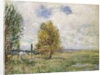 La Plaine de Veneux-Nadon, 1881 by Alfred Sisley