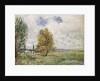 La Plaine de Veneux-Nadon, 1881 by Alfred Sisley