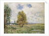 La Plaine de Veneux-Nadon, 1881 by Alfred Sisley