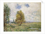 La Plaine de Veneux-Nadon, 1881 by Alfred Sisley