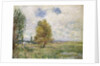 La Plaine de Veneux-Nadon, 1881 by Alfred Sisley