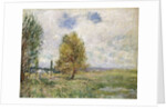 La Plaine de Veneux-Nadon, 1881 by Alfred Sisley