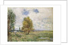 La Plaine de Veneux-Nadon, 1881 by Alfred Sisley
