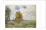La Plaine de Veneux-Nadon, 1881 by Alfred Sisley