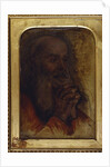 Study of an old man's head for 'Jesus Among the Doctors' by Jean Auguste Dominique Ingres