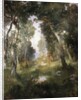 Forest Glade, Santa Barbara, 1918 by Thomas Moran
