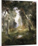 Forest Glade, Santa Barbara, 1918 by Thomas Moran