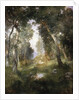 Forest Glade, Santa Barbara, 1918 by Thomas Moran