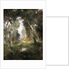 Forest Glade, Santa Barbara, 1918 by Thomas Moran