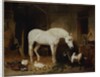 Stable Companions by John Frederick Herring Snr