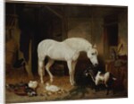 Stable Companions by John Frederick Herring Snr
