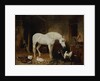Stable Companions by John Frederick Herring Snr
