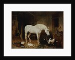 Stable Companions by John Frederick Herring Snr