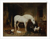 Stable Companions by John Frederick Herring Snr