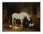 Stable Companions by John Frederick Herring Snr