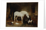 Stable Companions by John Frederick Herring Snr
