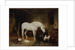 Stable Companions by John Frederick Herring Snr