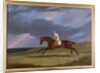 Corduroy, a Bay Racehorse, with a Jockey Up, Galloping on a Racecourse by John Frederick Herring Snr