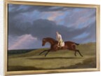 Corduroy, a Bay Racehorse, with a Jockey Up, Galloping on a Racecourse by John Frederick Herring Snr