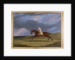 Corduroy, a Bay Racehorse, with a Jockey Up, Galloping on a Racecourse by John Frederick Herring Snr