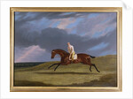 Corduroy, a Bay Racehorse, with a Jockey Up, Galloping on a Racecourse by John Frederick Herring Snr