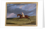 Corduroy, a Bay Racehorse, with a Jockey Up, Galloping on a Racecourse by John Frederick Herring Snr