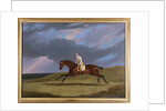 Corduroy, a Bay Racehorse, with a Jockey Up, Galloping on a Racecourse by John Frederick Herring Snr