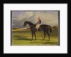 The Earl of Chesterfield's Filly 'Industry', with W. Scott Up, in a Landscape, 1838 by John Frederick Herring Snr