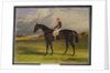 The Earl of Chesterfield's Filly 'Industry', with W. Scott Up, in a Landscape, 1838 by John Frederick Herring Snr