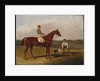 Barefoot, the Racehorse, with a Jockey Up and a Groom, 1835 by John Frederick Herring Snr