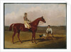 Barefoot, the Racehorse, with a Jockey Up and a Groom, 1835 by John Frederick Herring Snr