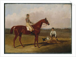 Barefoot, the Racehorse, with a Jockey Up and a Groom, 1835 by John Frederick Herring Snr