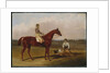 Barefoot, the Racehorse, with a Jockey Up and a Groom, 1835 by John Frederick Herring Snr