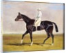 Lucetta' with J. Robinson Up, 1834 by John Frederick Herring Snr